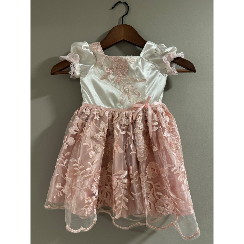 Bitty Bundles of Joy Party Dress Floral Embroidery Size 4T Pink Cream Girl's